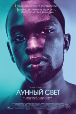 Лунный свет