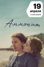 Аммонит